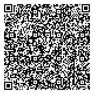 vCard 79538205343