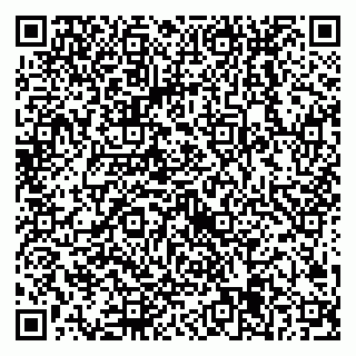 vCard 79538205345