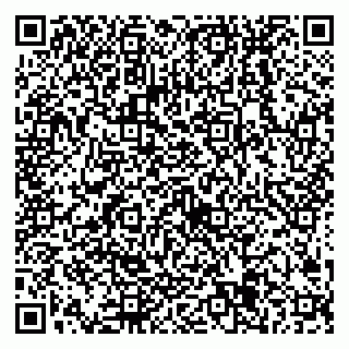vCard 79538205347