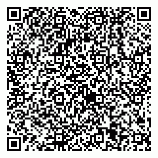 vCard 79538205348