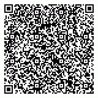 vCard 79538205349