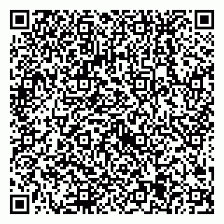vCard 79538205350
