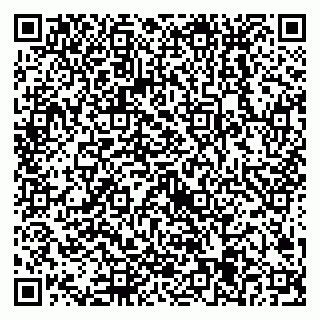vCard 79538205351