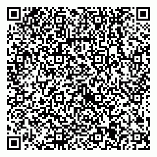 vCard 79538205360
