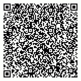 vCard 79538205362