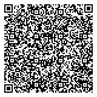 vCard 79538205363