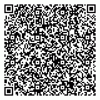 vCard 79538205367