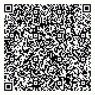 vCard 79538205369