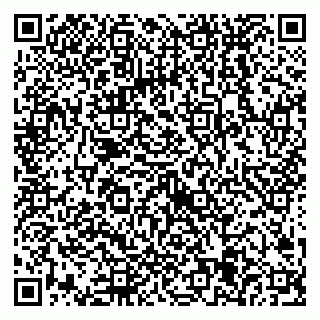 vCard 79538205370