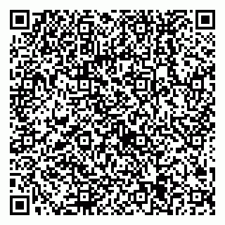vCard 79538205371