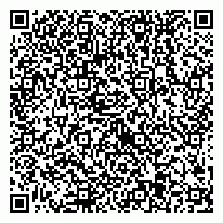 vCard 79538205373