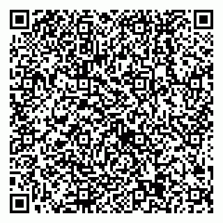 vCard 79538205376