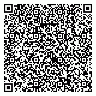 vCard 79538205377