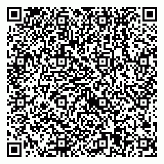 vCard 79538205378