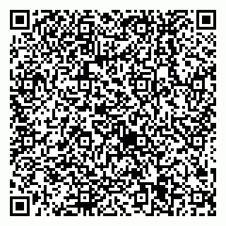 vCard 79538205379