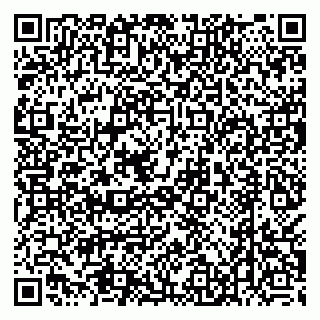 vCard 79538205380