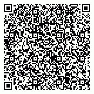 vCard 79538205381