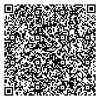 vCard 79538205382