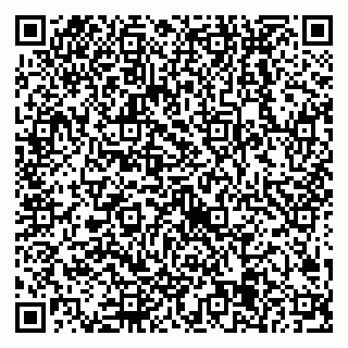 vCard 79538205384