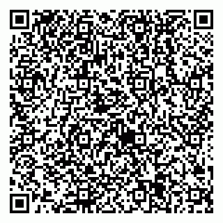 vCard 79538205385