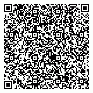 vCard 79538205386