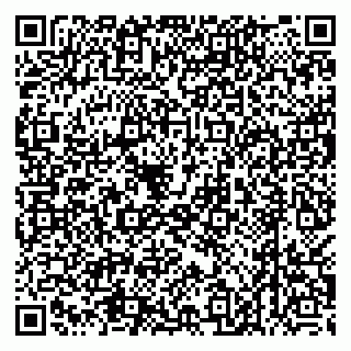 vCard 79538205387