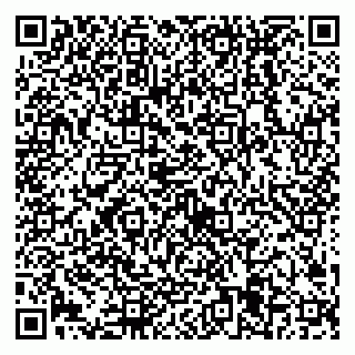 vCard 79538205389