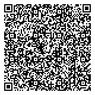 vCard 79538205390