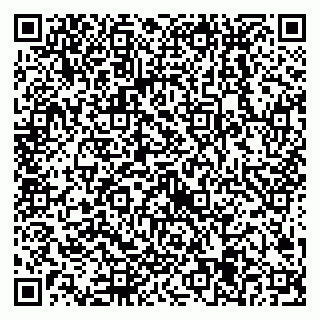 vCard 79538205391