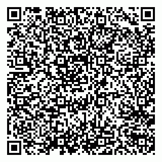 vCard 79538205392