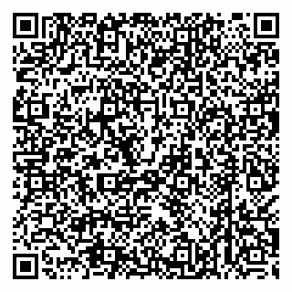 vCard 79538205393