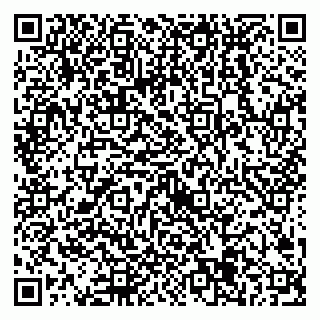 vCard 79538205397