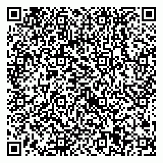 vCard 79538205398