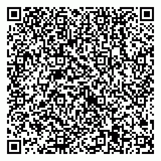vCard 79538205399