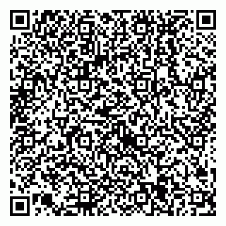 vCard 79538205403