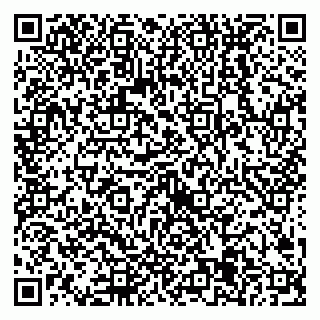 vCard 79538205404
