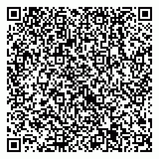 vCard 79538205405