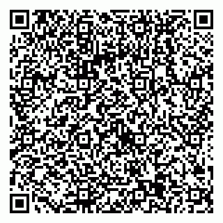 vCard 79538205406