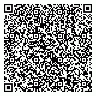 vCard 79538205408