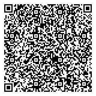 vCard 79538205409
