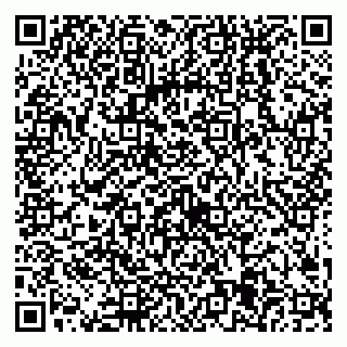 vCard 79538205410