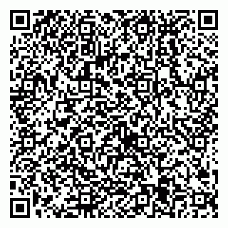 vCard 79538205411