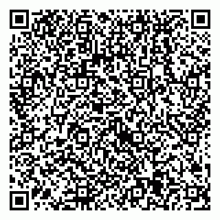 vCard 79538205412