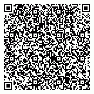 vCard 79538205413