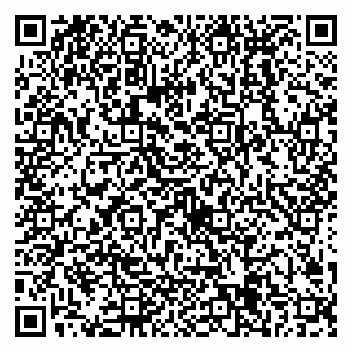 vCard 79538205417
