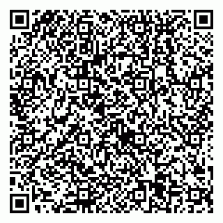 vCard 79538205419