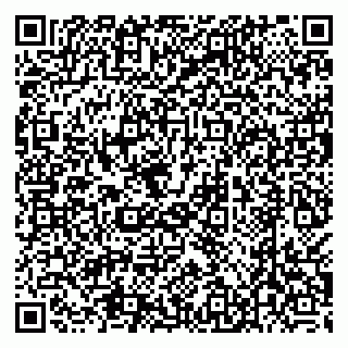 vCard 79538205420