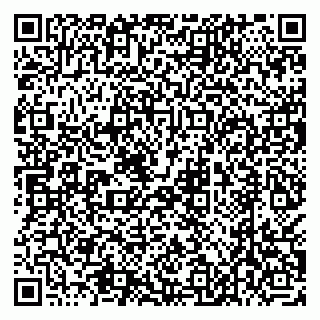 vCard 79538205425