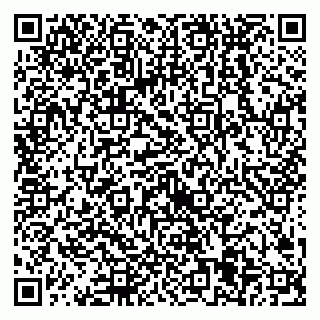 vCard 79538205428