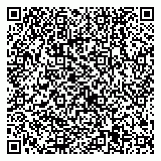 vCard 79538205429